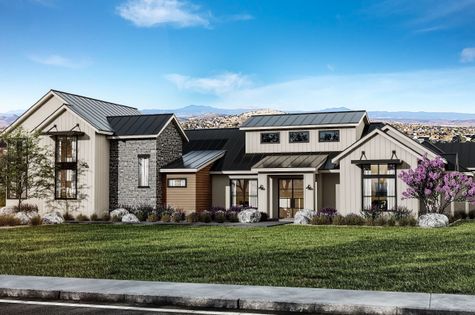 109 Beauty Berry